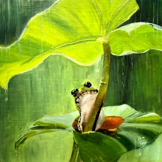 Rain Frog